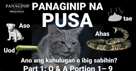 pakantot sa aso|Kilos ng Aso, may Ibig Sabihin .